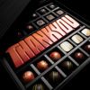 Vegan Chocolate Collection & Thank You Bar